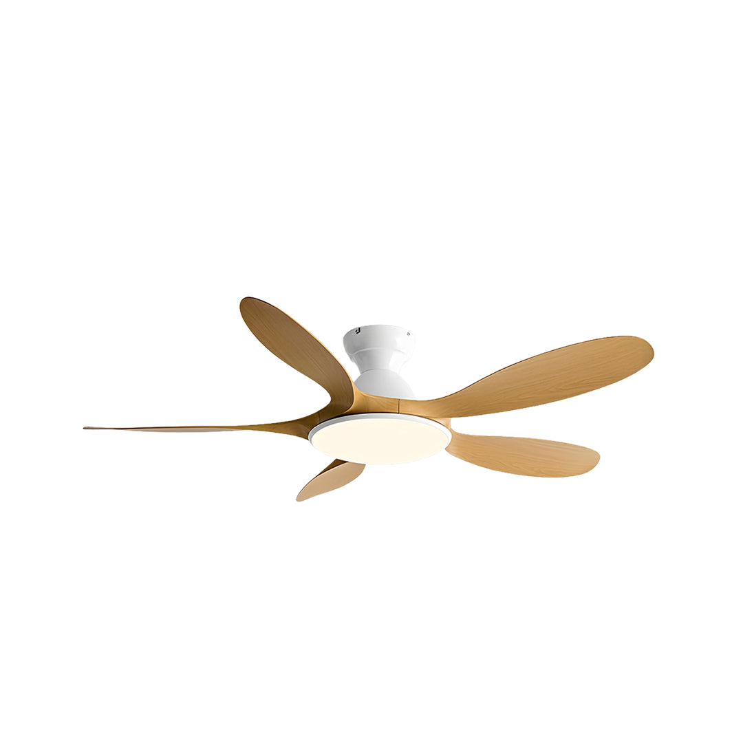 5 Blade Ceiling Fan with Light Abs Blades Metal Body Fan Light