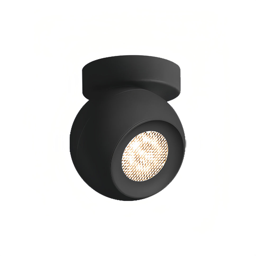 Minimalist Globe Design LED Modern Spotlight Ceiling Lights Flush Mount Lighting