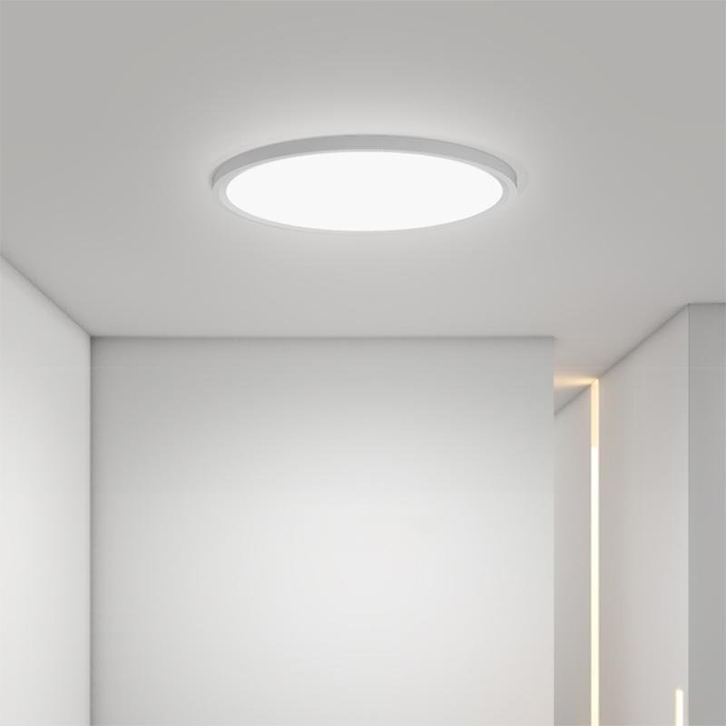 Minimalist Black Circle Industrial Flush Mount Ceiling Lights