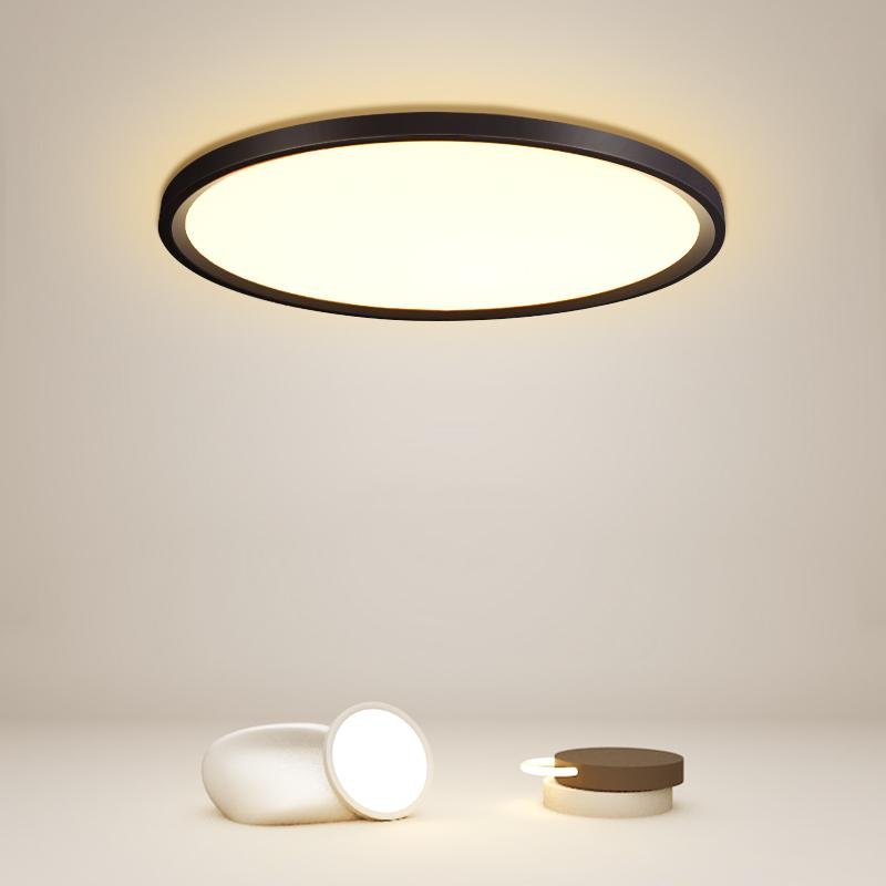 Minimalist Black Circle Industrial Flush Mount Ceiling Lights
