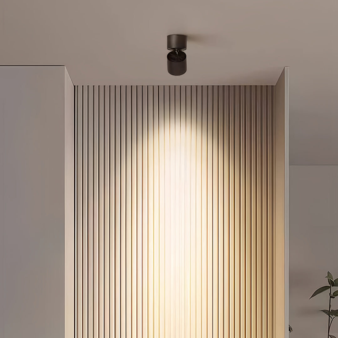 Adjustable Spotlight Anti-Glare 360° Rotating Deep Baffle LED Light