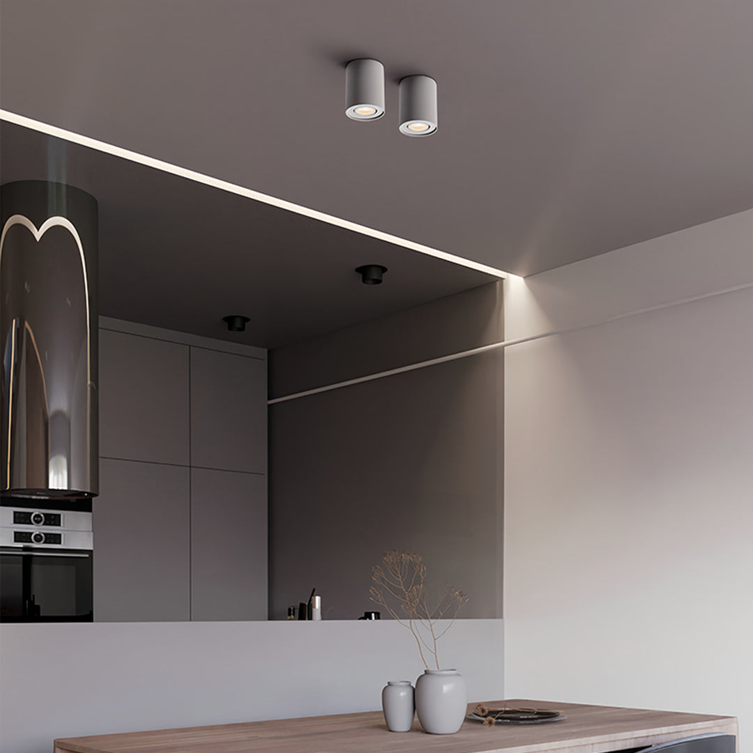 Surface Mounted Downlight Modern Cylindrical Black LED Ceiling Light