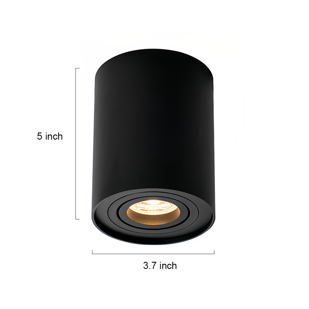 Surface Mounted Downlight Modern Cylindrical Black LED Ceiling Light