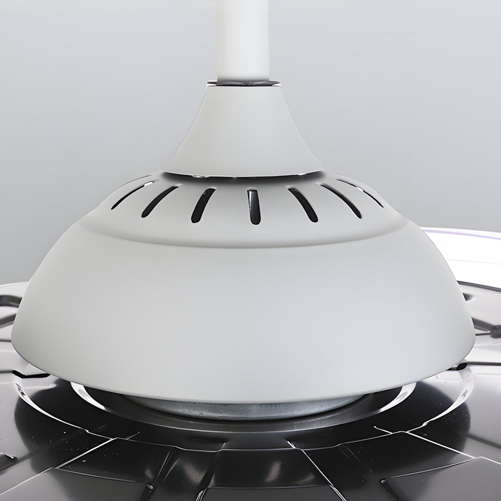 Black Fan with Light Modern Adjustable LED Metal Light