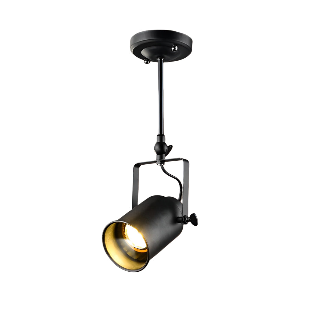Black Track Light Adjustable Industrial Spotlight
