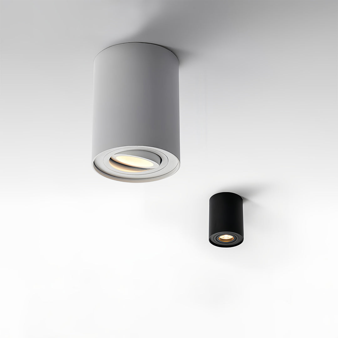 Surface Mounted Downlight Modern Cylindrical Black LED Ceiling Light