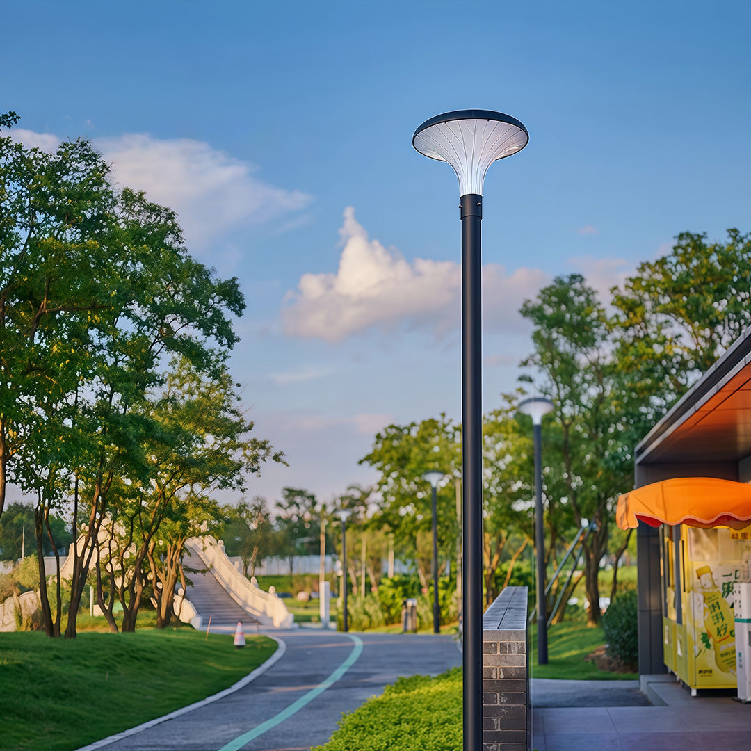 Street Lighting Fixtures Solar Waterproof High Pole Light