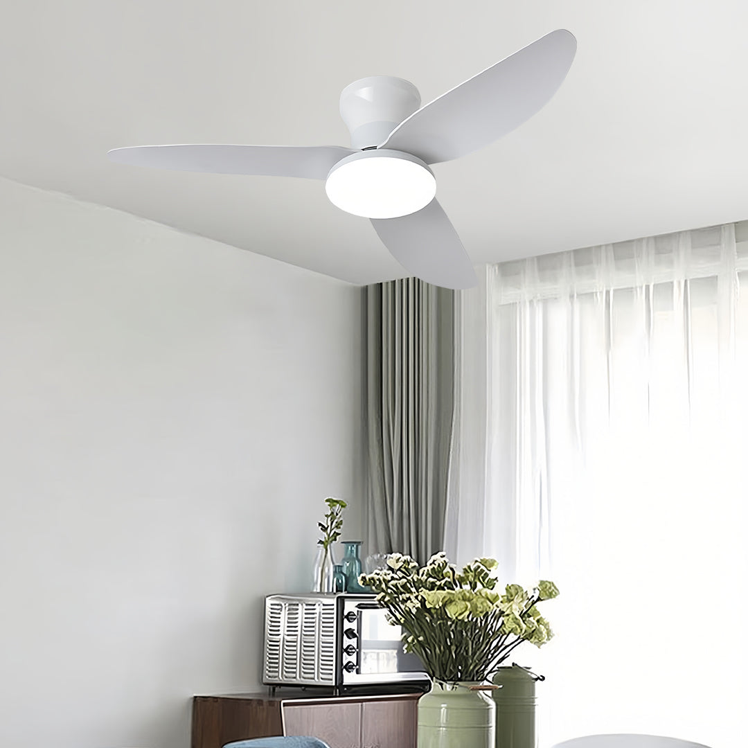 Ceiling Fan with Dimmer Light Modern Small 3-Blade and Remote Quiet