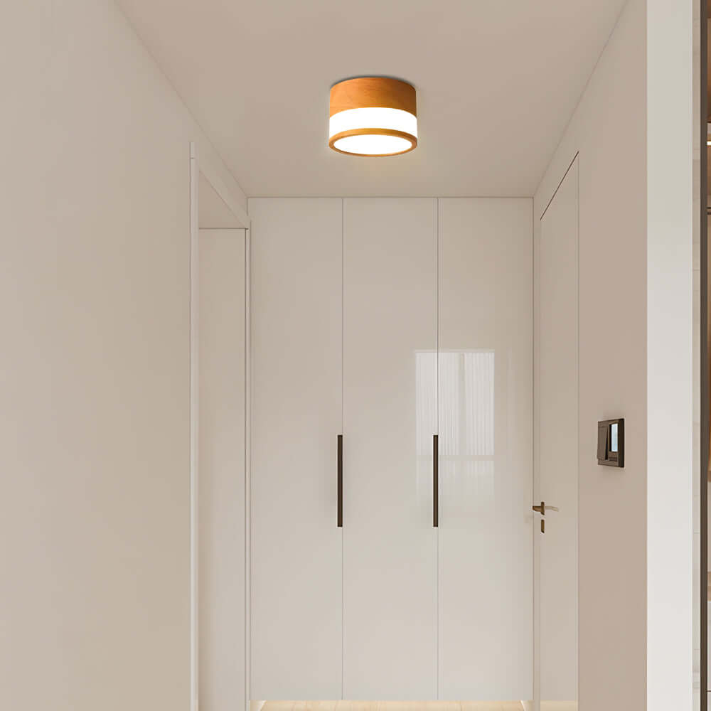 Flush Mount Ceiling LED Lights Modern Minimalist Round Downlight
