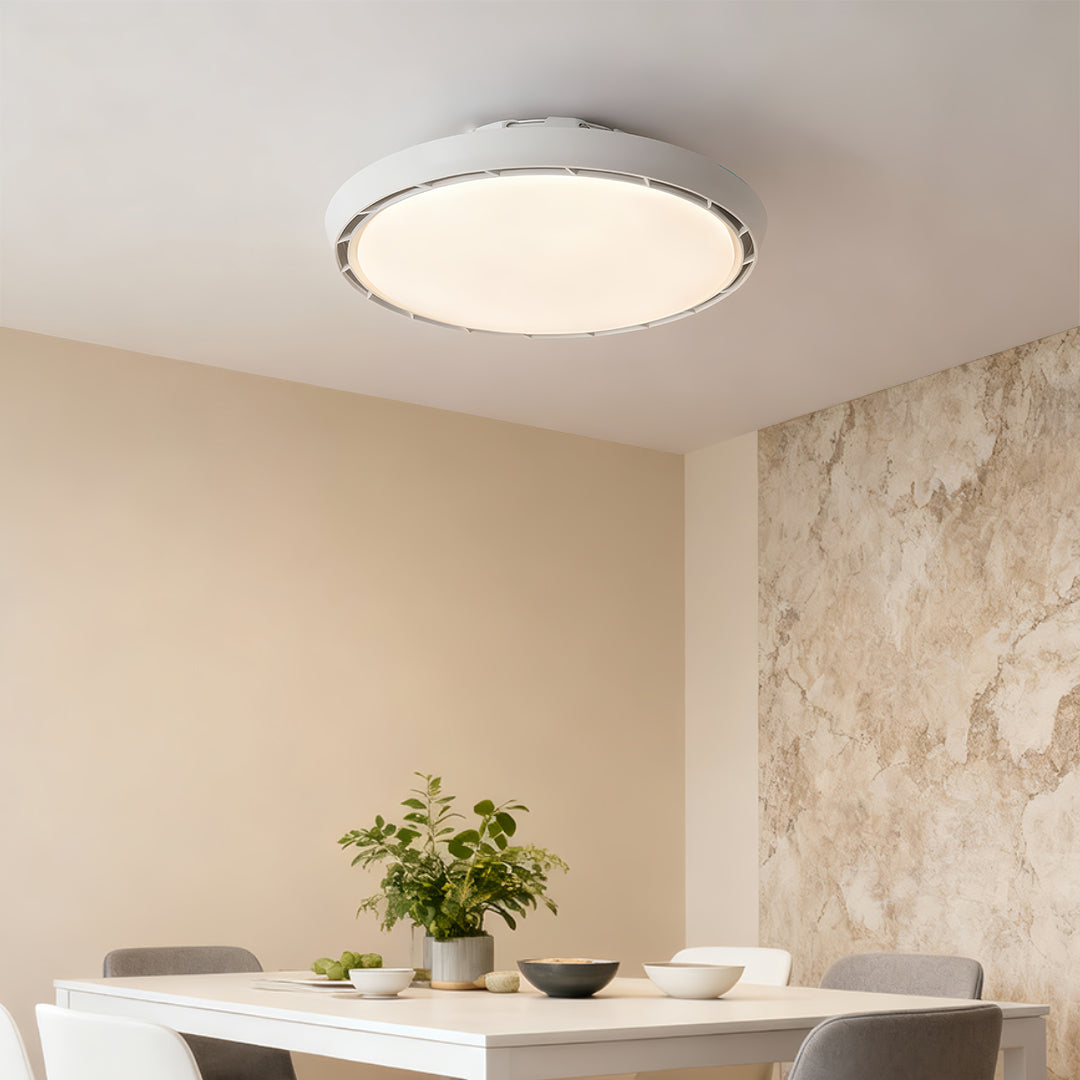 Ceiling Fan Modern with Light LED Simple Round Leafless Dimmable Lamp