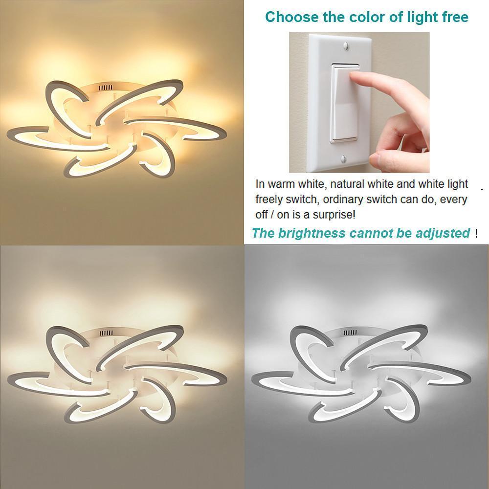 Curved LED Ceiling Light Artistic Geometric Acrylic LED Light