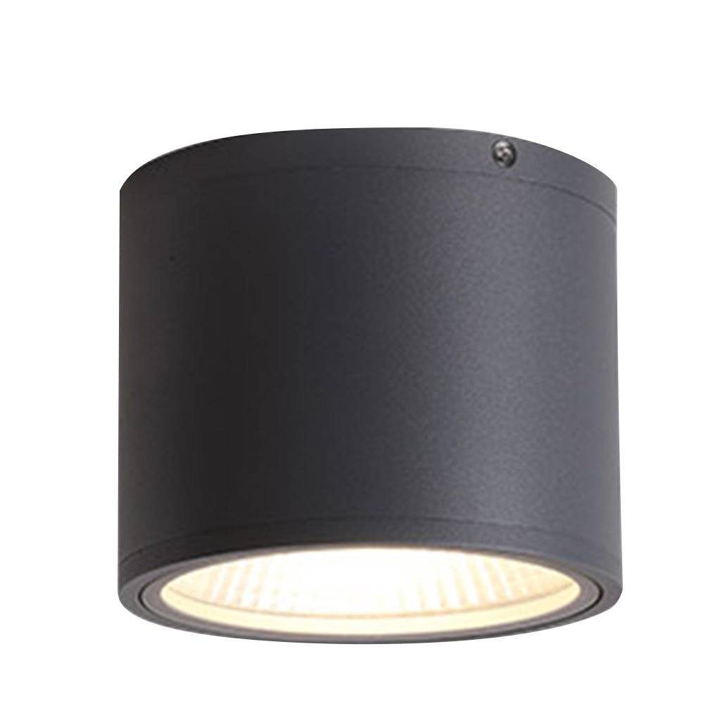 Outdoor Lighting Downlights LED Waterproof Ceiling Light