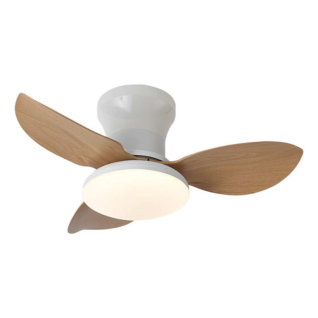 Ceiling Fan with Dimmer Light Modern Small 3-Blade and Remote Quiet