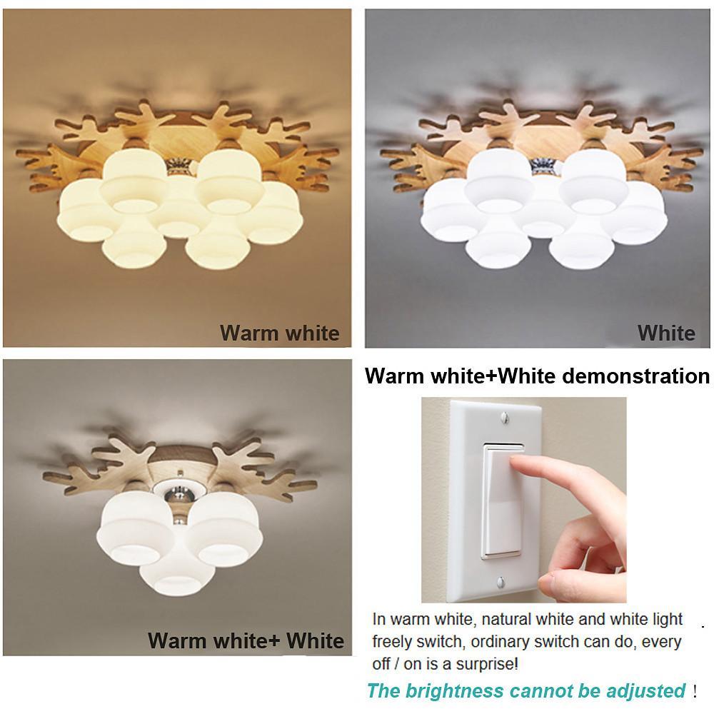 Globe Ceiling Lamp Nordic Style Wooden Glass LED Light