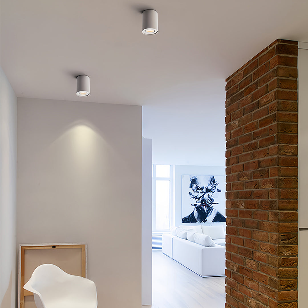 Surface Mounted Downlight Modern Cylindrical Black LED Ceiling Light