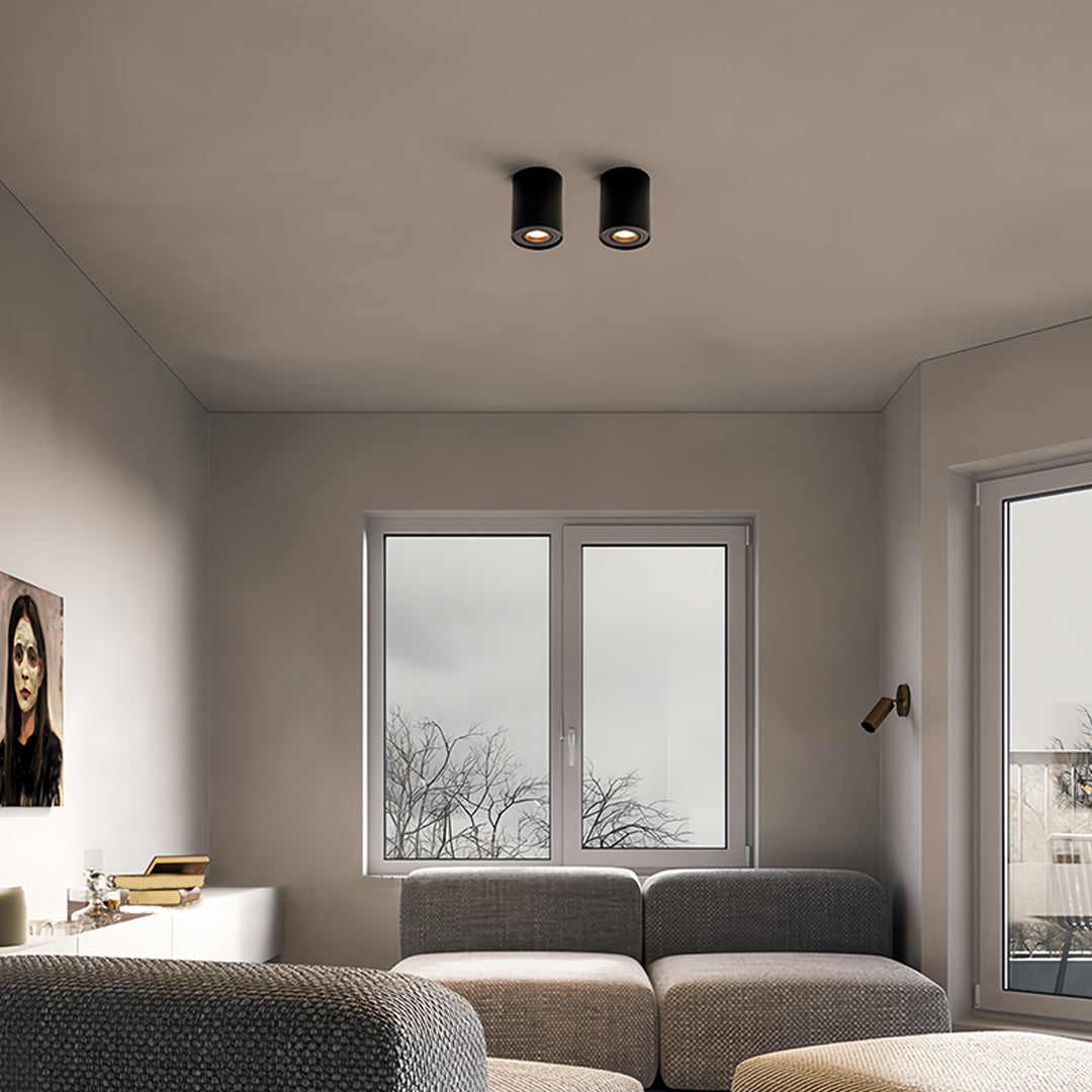 Surface Mounted Downlight Modern Cylindrical Black LED Ceiling Light