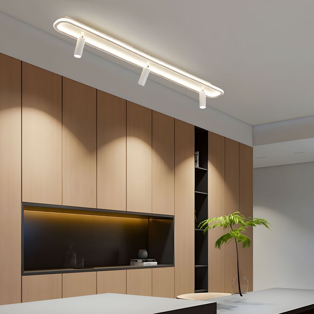 Adjustable LED Ceiling Spotlights Modern Metal Light