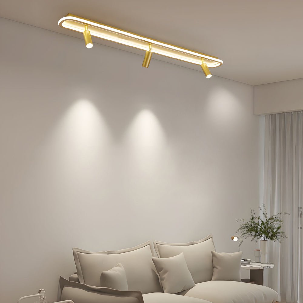 Adjustable LED Ceiling Spotlights Modern Metal Light