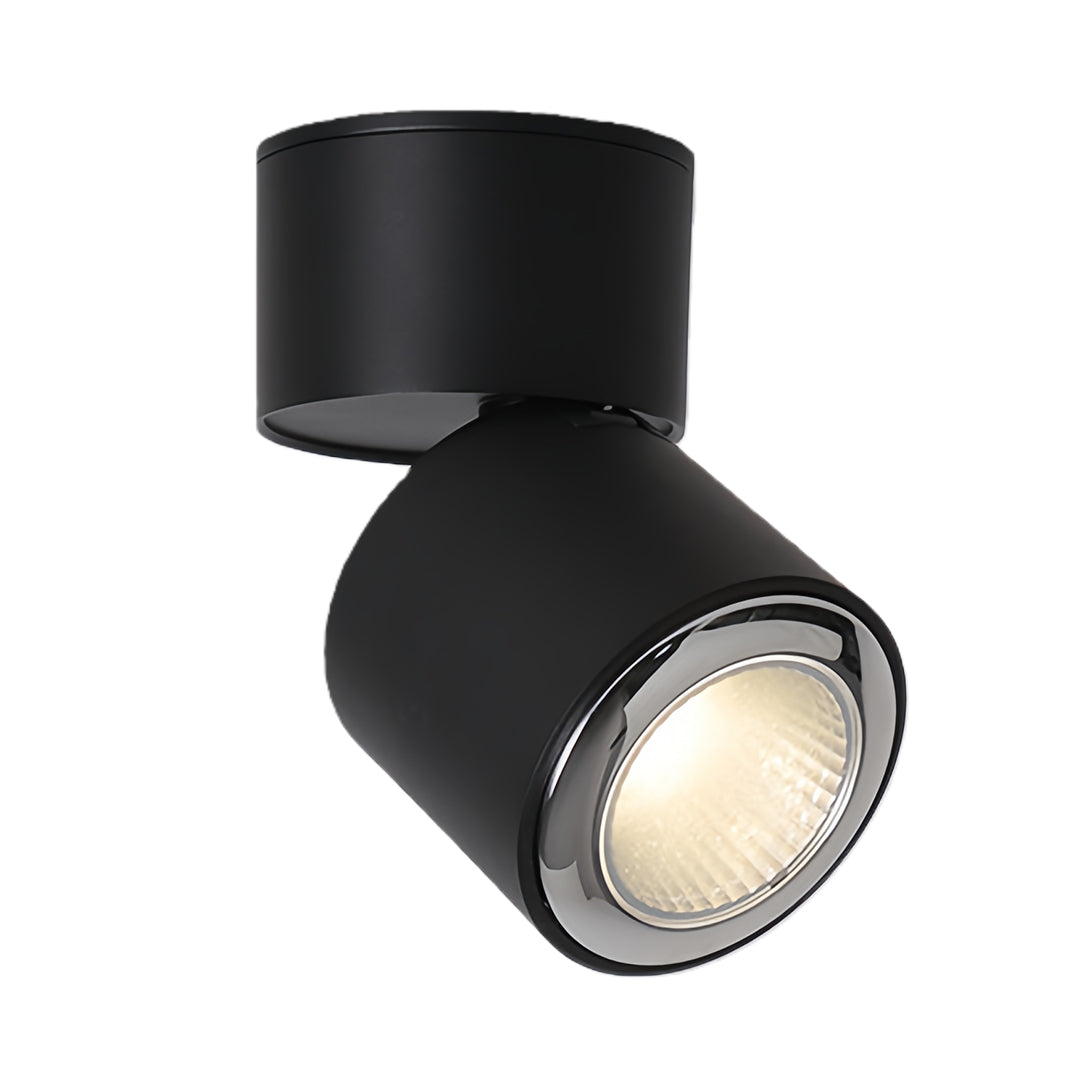 Adjustable Spotlight Anti-Glare 360° Rotating Deep Baffle LED Light