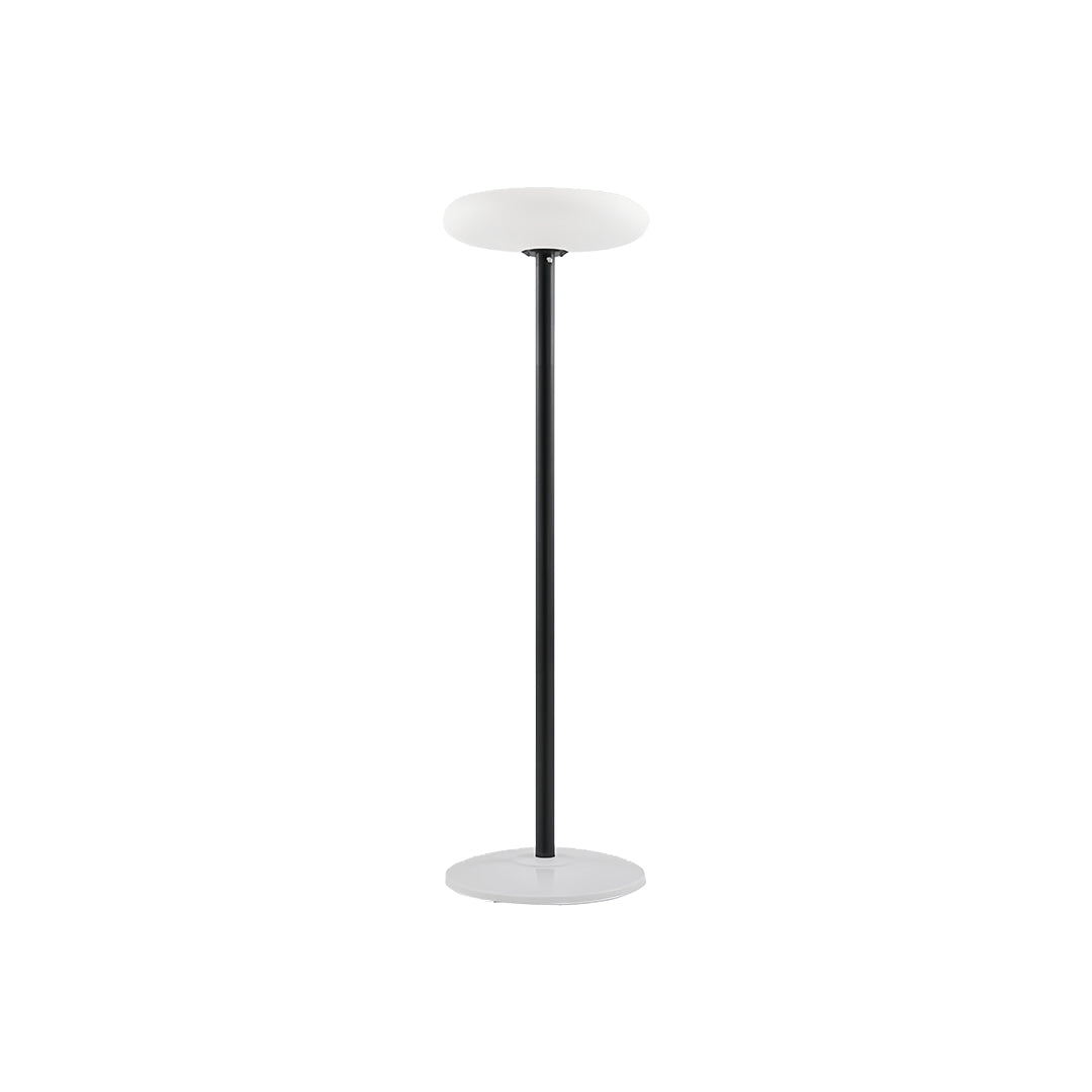 Outdoor Patio Floor Lamps Aluminum PE Body Solar Waterproof Light