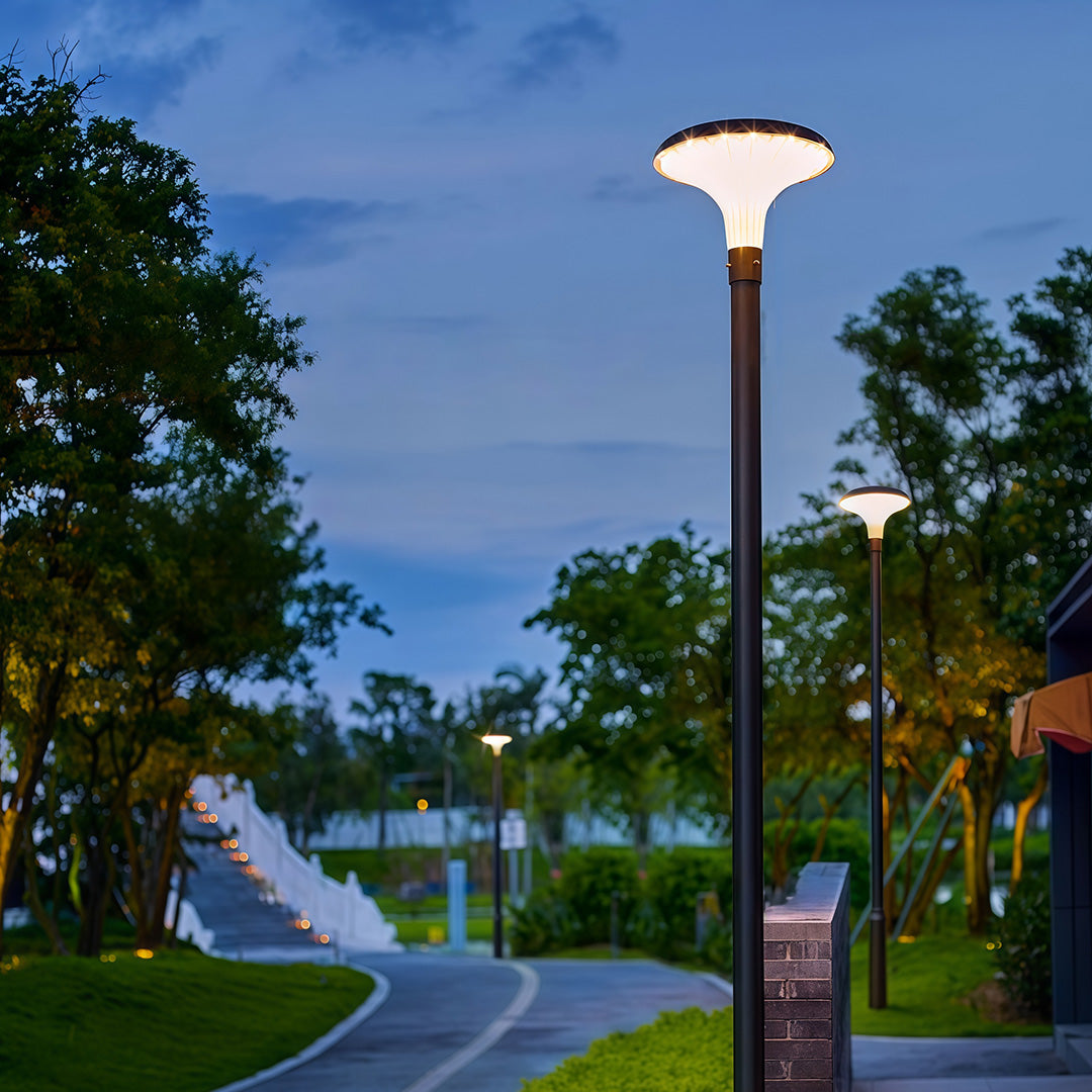 Street Lighting Fixtures Solar Waterproof High Pole Light