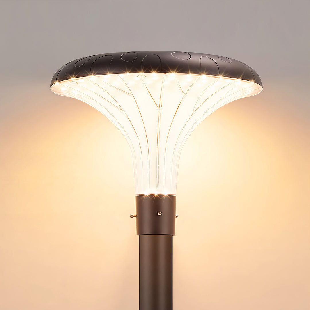 Street Lighting Fixtures Solar Waterproof High Pole Light