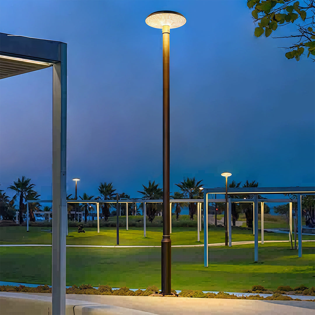 Residential Street Lighting Outdoor High-Pole Light