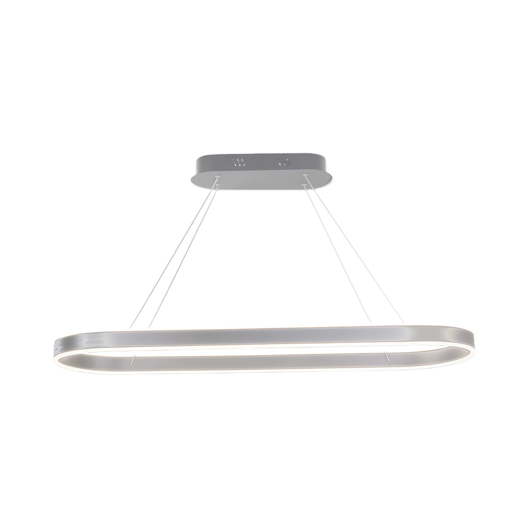 Oval LED Pendant Light Modern Aluminum Ceiling Light