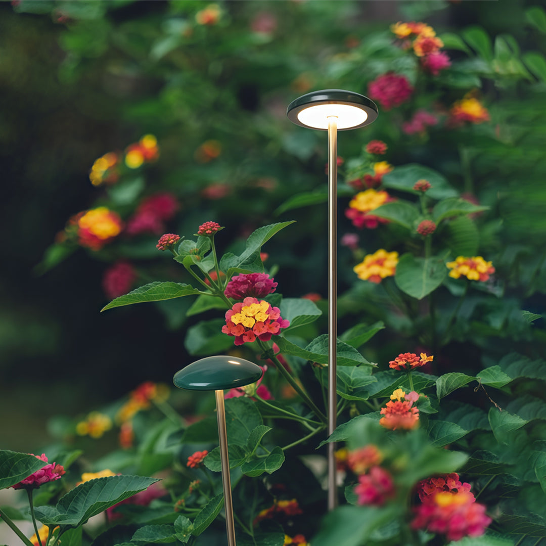 Pathway Outdoor Lighting Landscape Minimalist Ambience Light