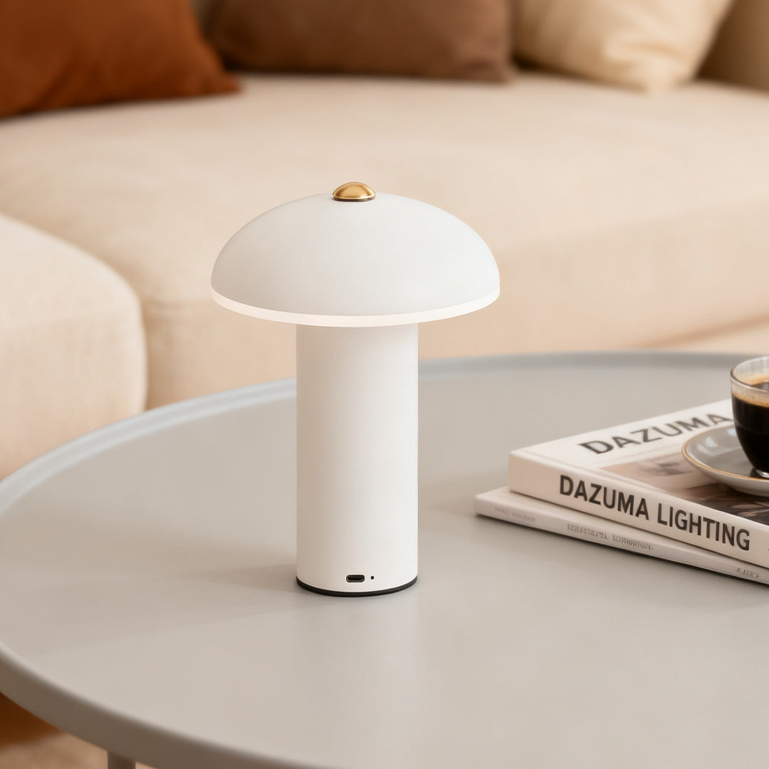 Dimmable LED Table Lamp Stylish Iron and Acrylic Ambience Light