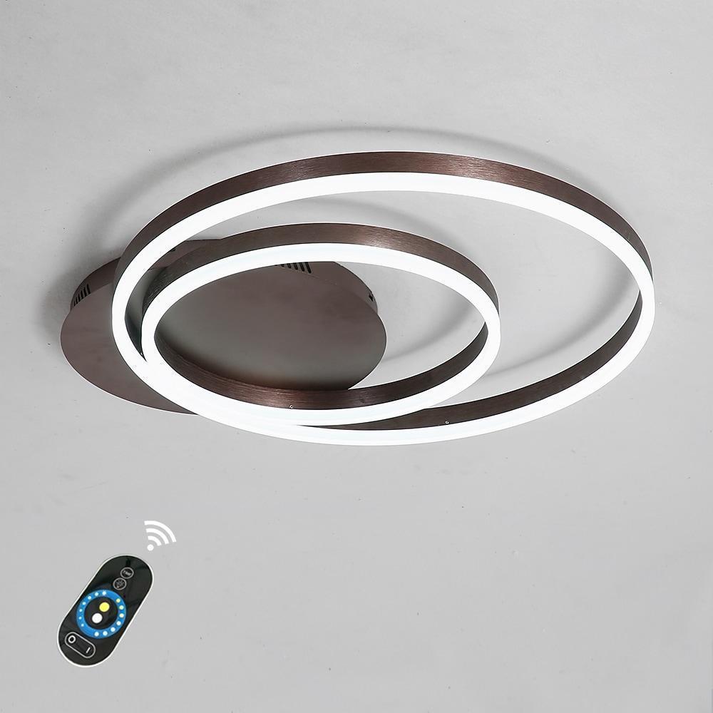 Ring Pendant Light Fixture Modern 2-Light LED Ceiling Light