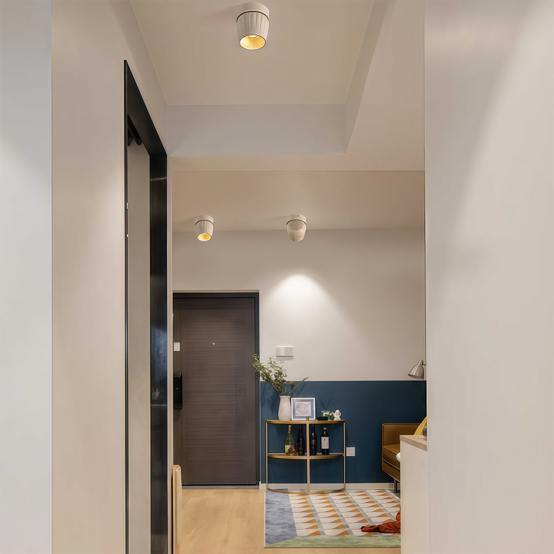 Rotating Spotlight Anti-Glare COB Surface Mount Aluminum Light