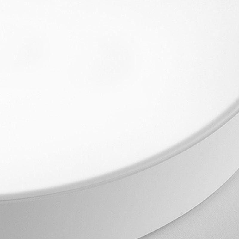 Simple Flush Mount Ceiling Light Round Modern Light