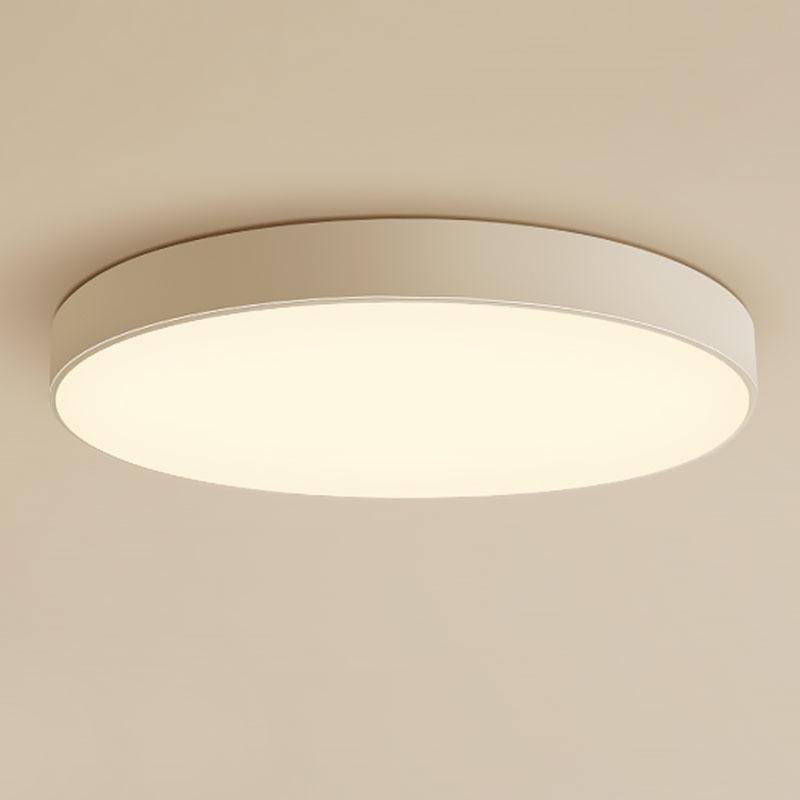 Simple Flush Mount Ceiling Light Round Modern Light