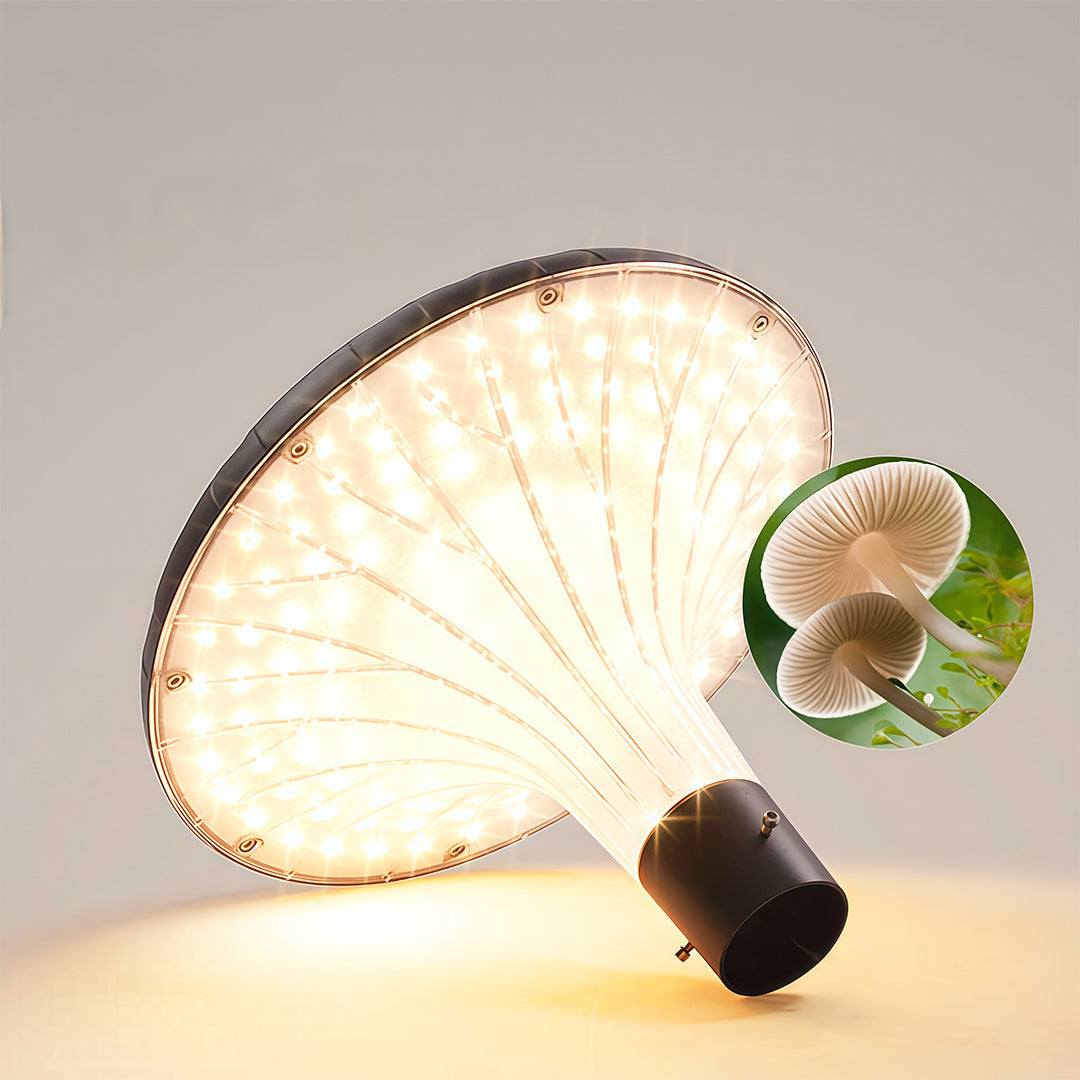 Street Lighting Fixtures Solar Waterproof High Pole Light