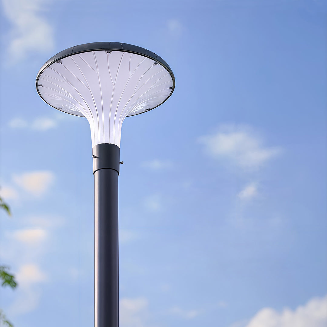 Street Lighting Fixtures Solar Waterproof High Pole Light