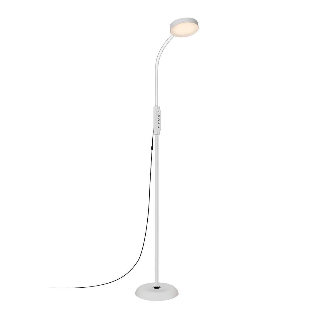 LED Reading Floor Lamp Minimalist Task Light LED Standing Lamp