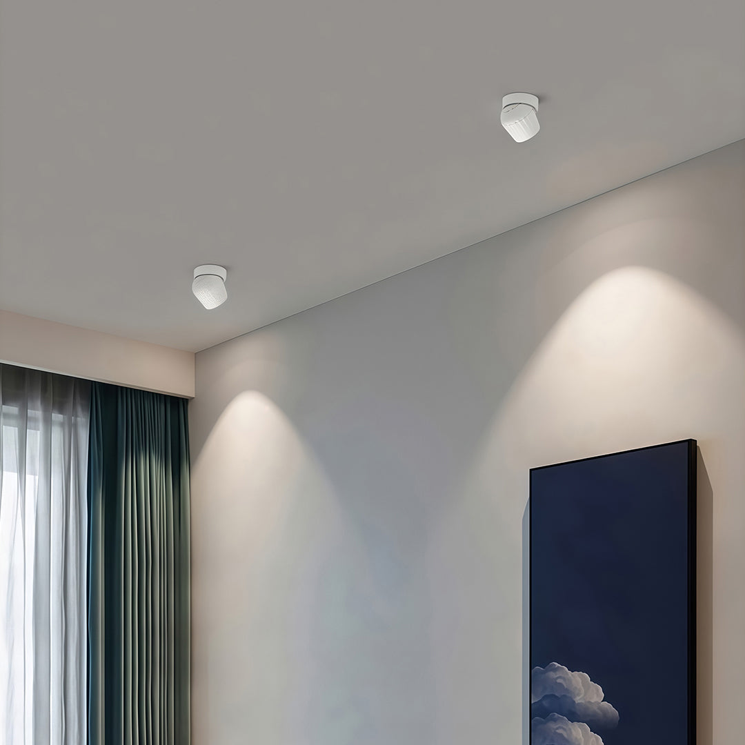 Rotating Spotlight Anti-Glare COB Surface Mount Aluminum Light
