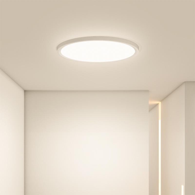 Minimalist Black Circle Industrial Flush Mount Ceiling Lights