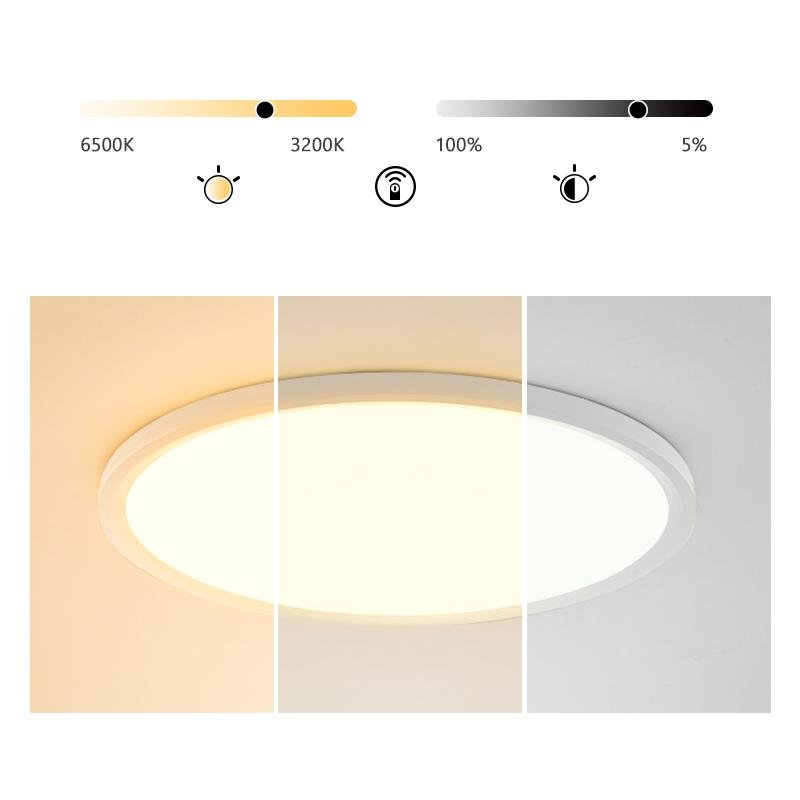 Minimalist Black Circle Industrial Flush Mount Ceiling Lights