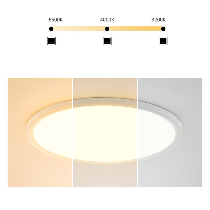 Minimalist Black Circle Industrial Flush Mount Ceiling Lights