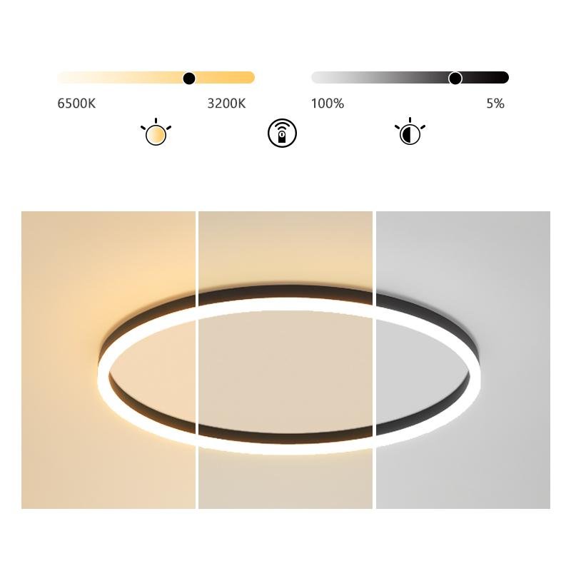 Black Round Dimmbale Aluminum Flush Mount Ceiling Light