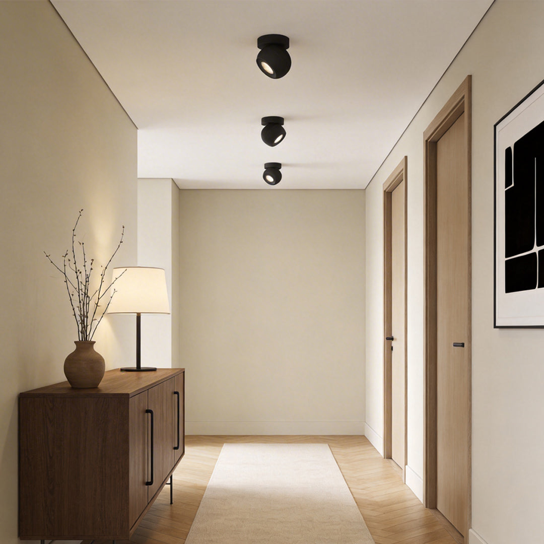 Minimalist Globe Design LED Modern Spotlight Ceiling Lights Flush Mount Lighting
