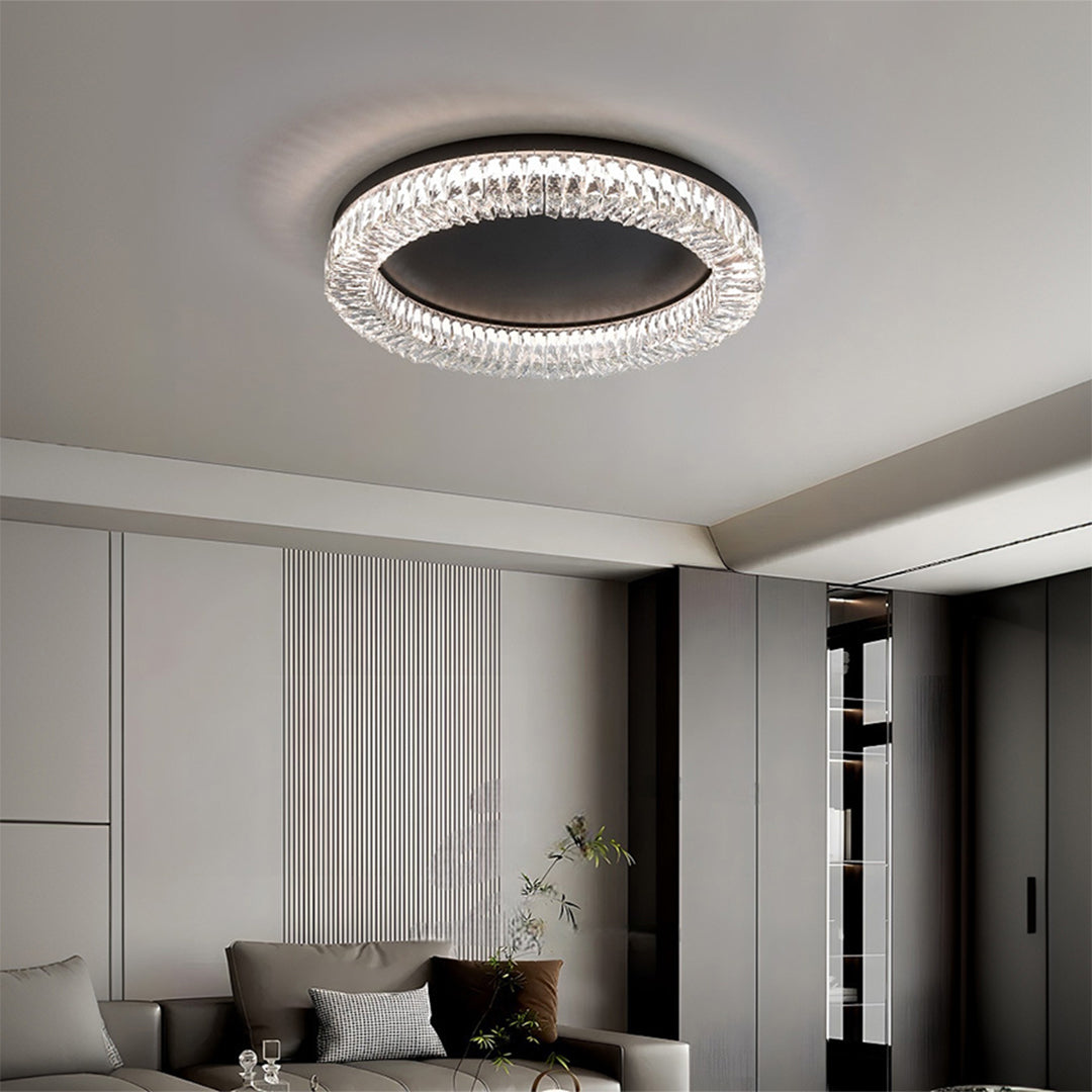 Black Ceiling Flush Mount Light Italian LED Round LED Lamp