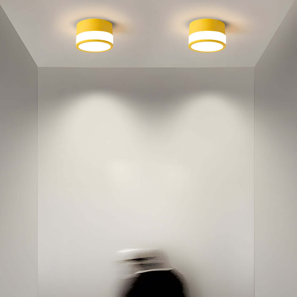 Flush Mount Ceiling LED Lights Modern Minimalist Round Downlight