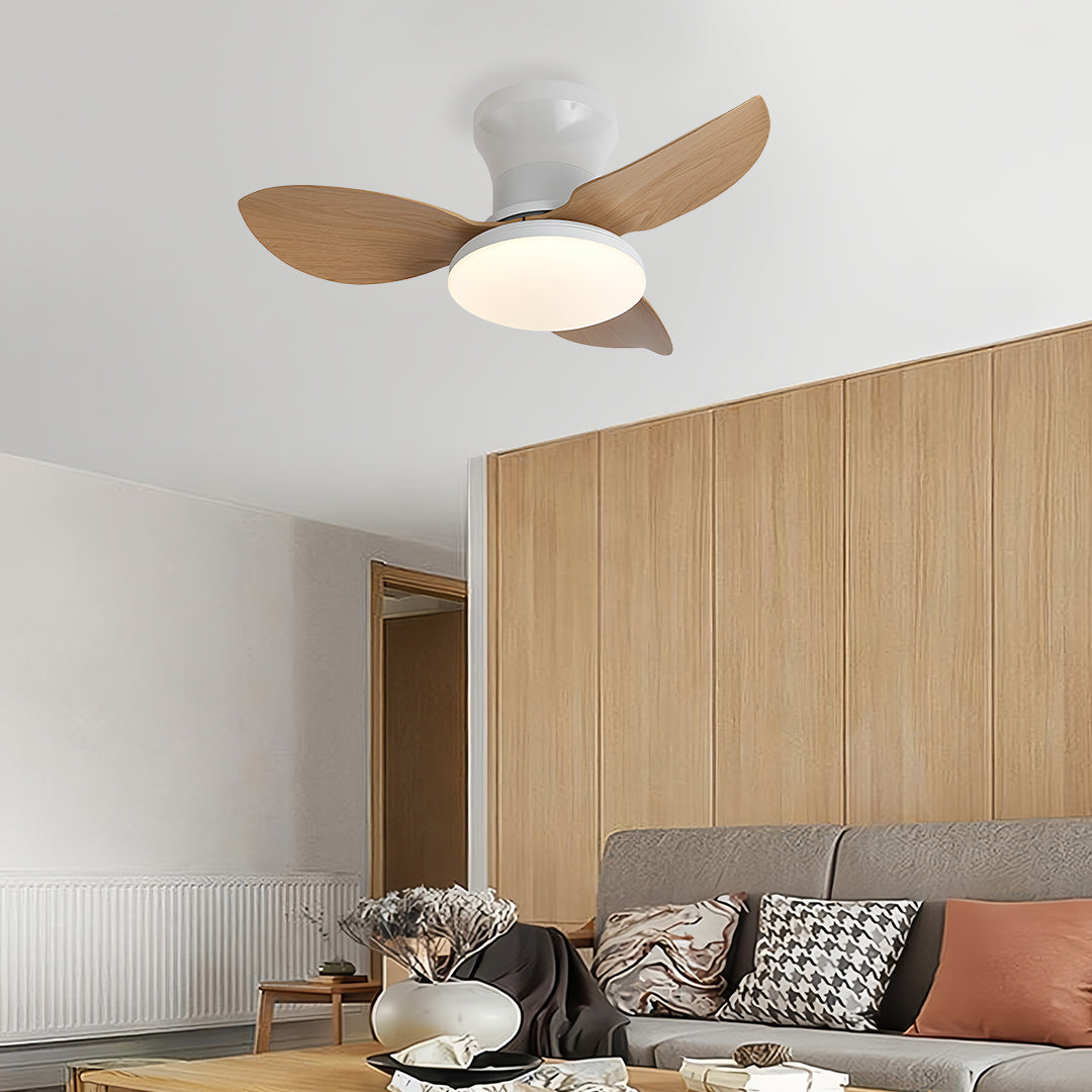 Ceiling Fan with Dimmer Light Modern Small 3-Blade and Remote Quiet