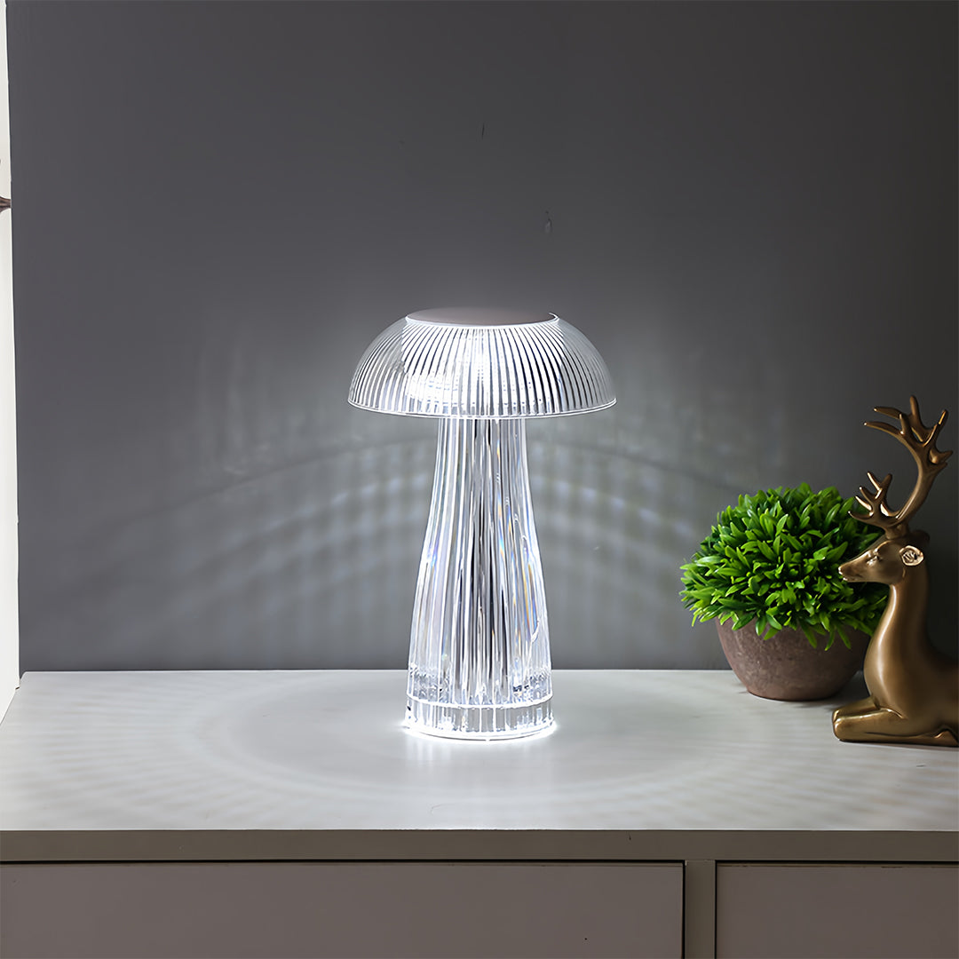 Clear Table Lamps Transparent Portable Acrylic Decorative Lamps