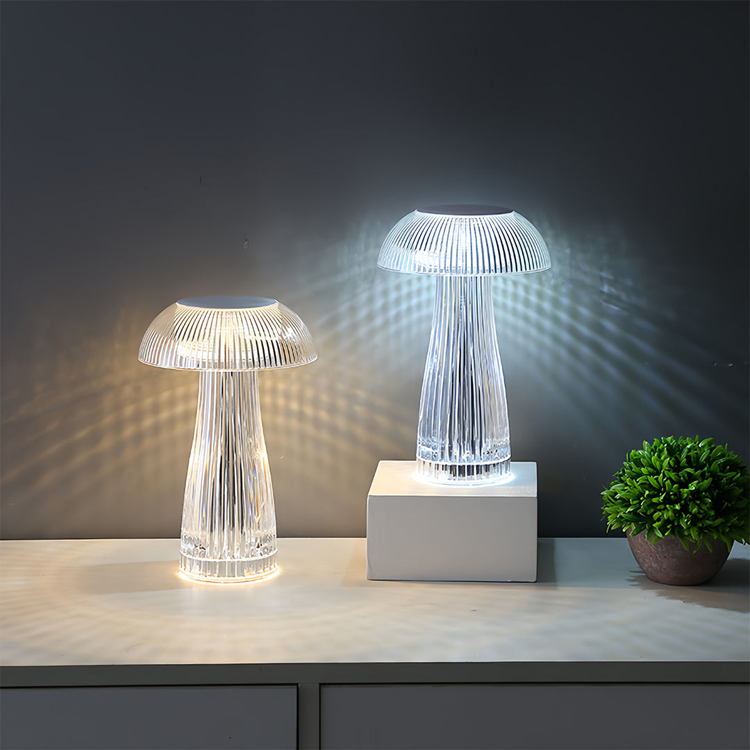 Clear Table Lamps Transparent Portable Acrylic Decorative Lamps