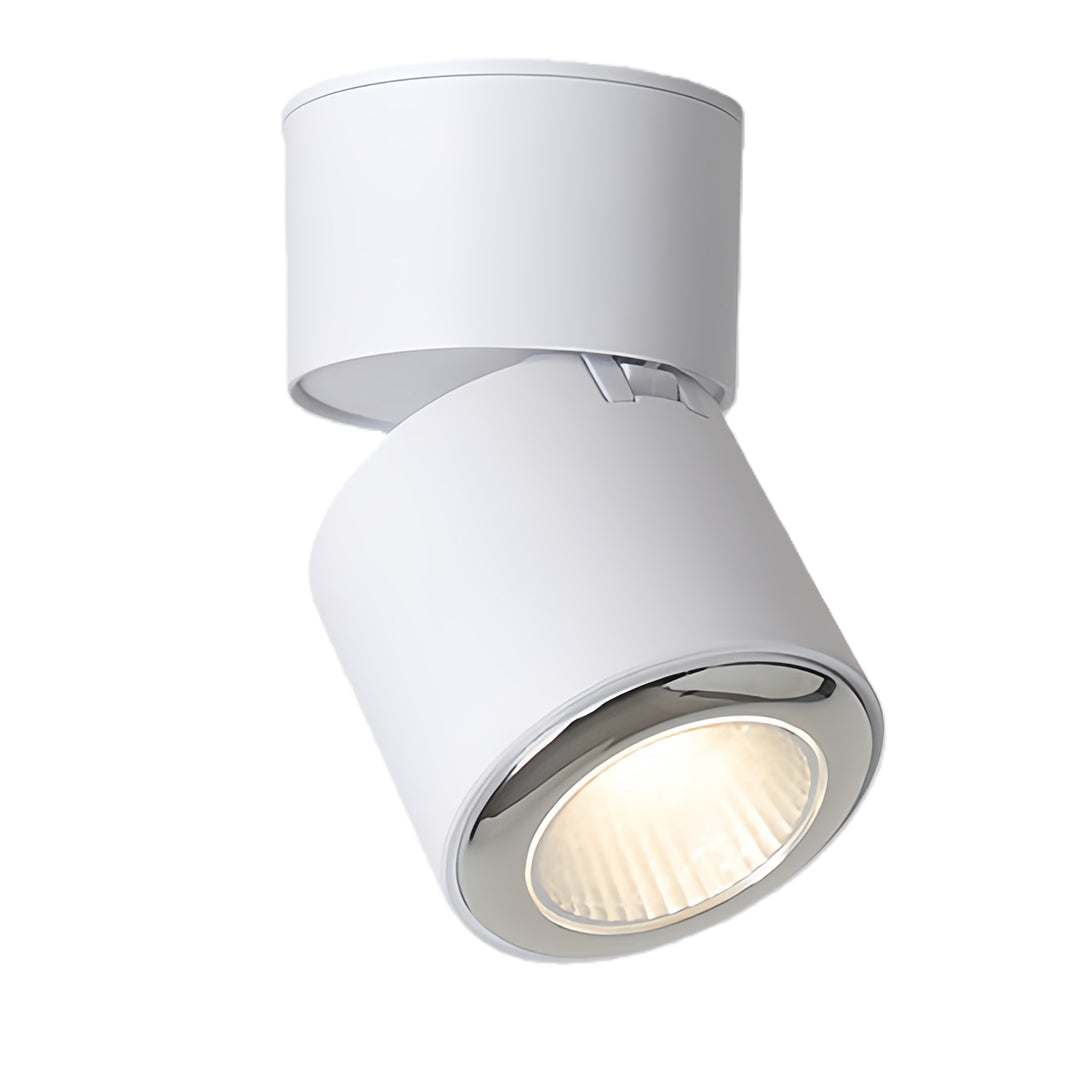 Adjustable Spotlight Anti-Glare 360° Rotating Deep Baffle LED Light