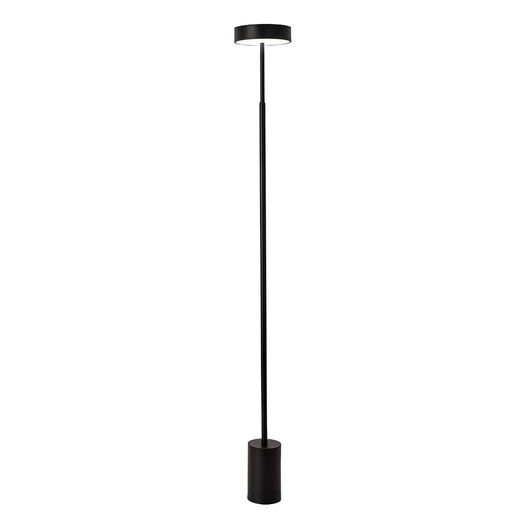 Petite Floor Lamp Modern Dimmable Contemporary Reading Pole Lamps
